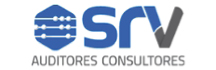 Srv Auditores Consultores - Auditores Consultores